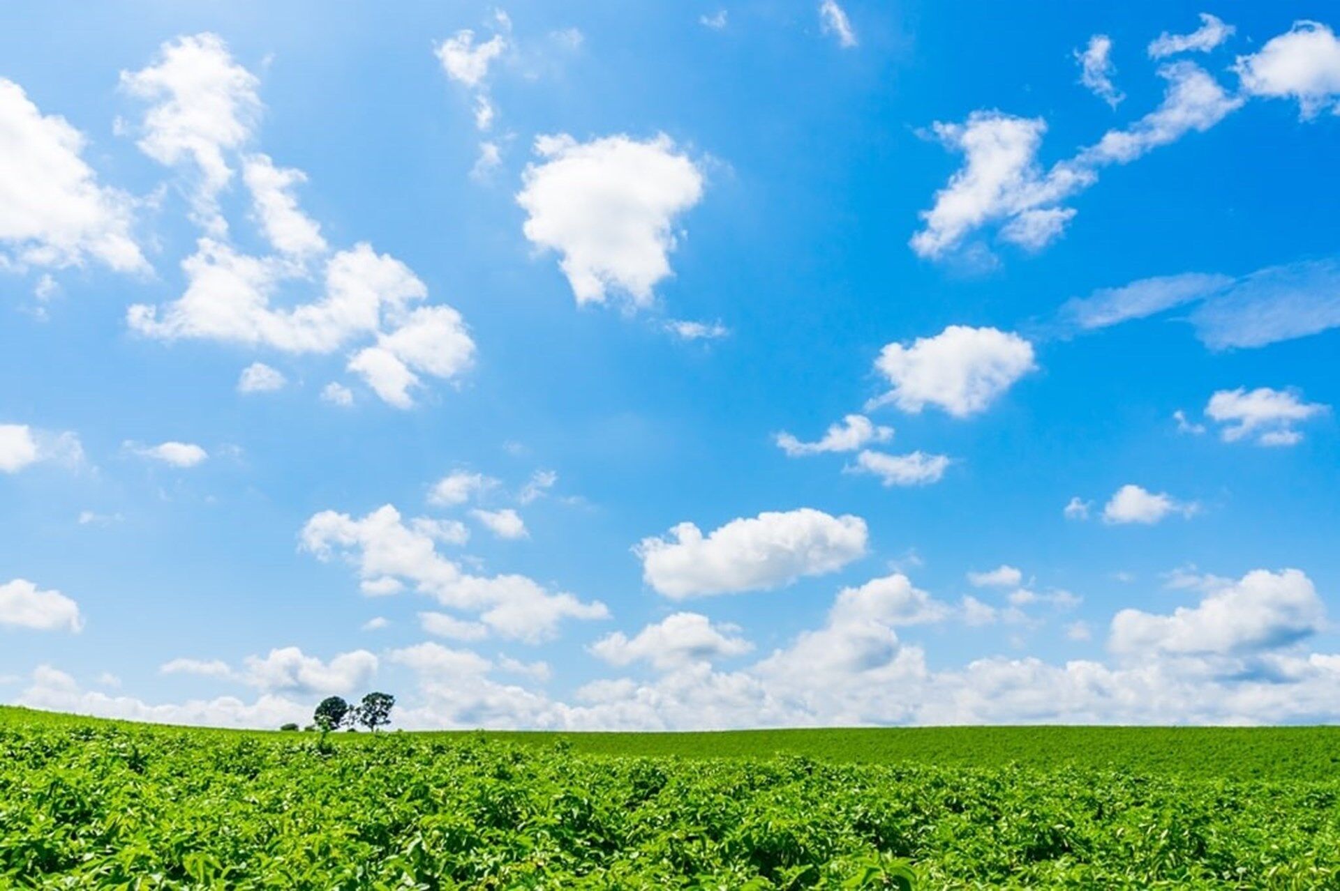 footer_bg